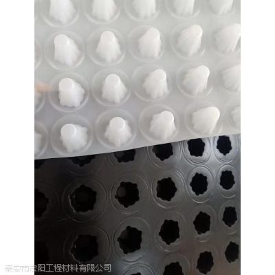 排水板 蓄排水板 车库排水板 塑料聚乙烯排水板 价格给力物流各地